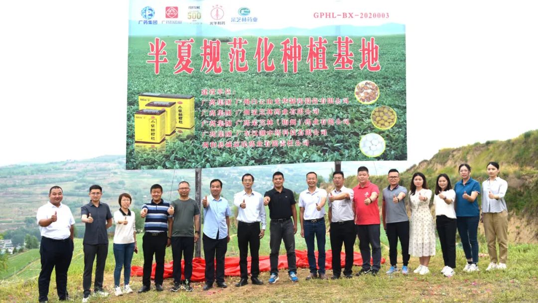 白云山海洋之神hy590公司实地调查调研中药材规范化基地
